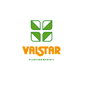 Valstar logo
