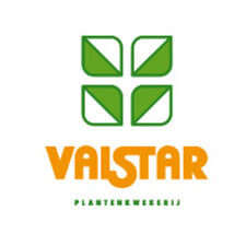 Logo Vaistar