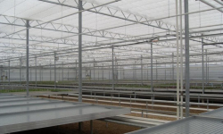 Tuinbouwbedrijf 