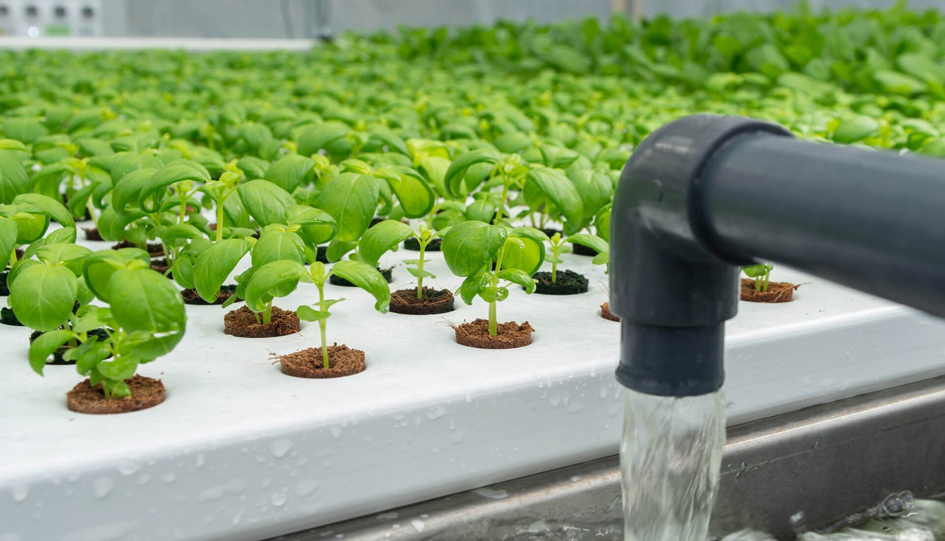 Aeroponic Kweektafels