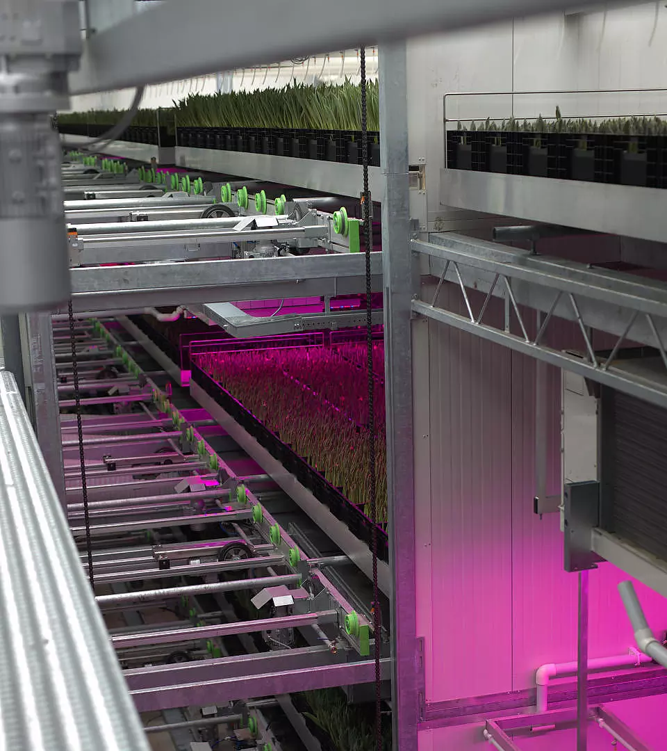 vertical farming nederland