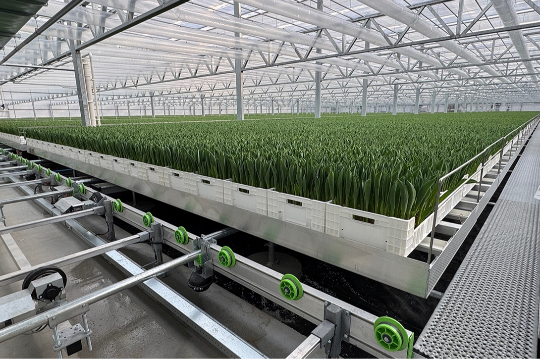 Project Ronico in North Holland